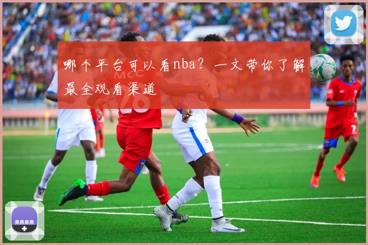 哪个平台可以看nba?一文带你了解最全观看渠道